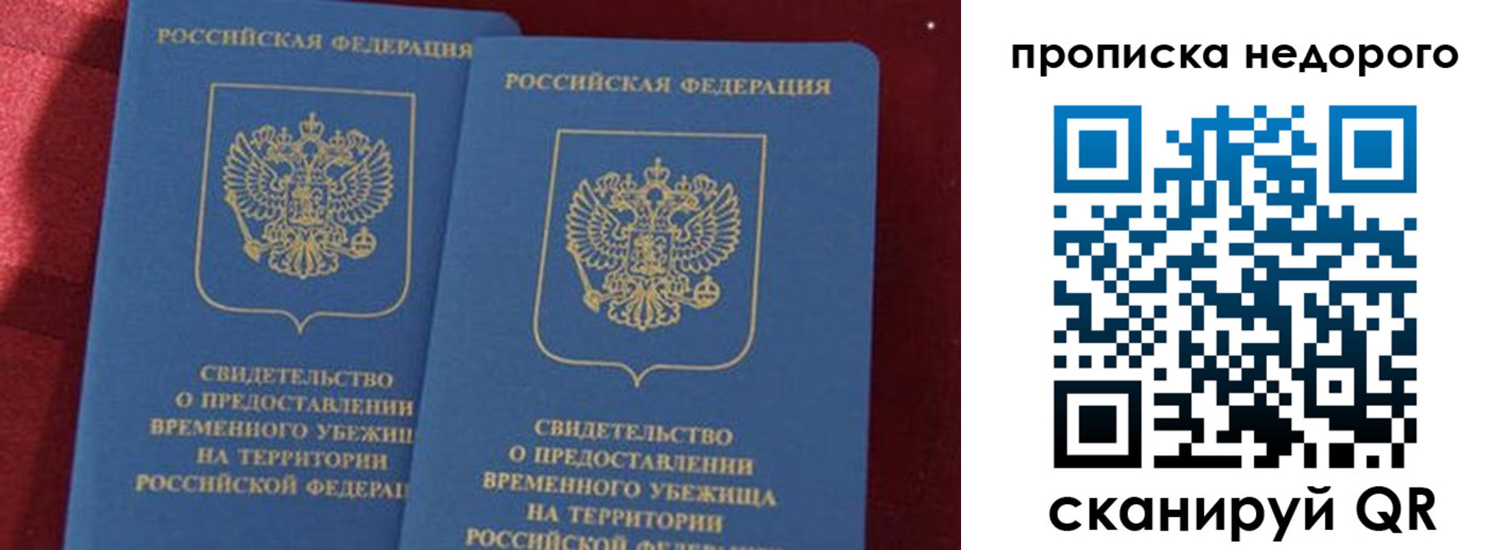 прописка гарантия в Дмитрове